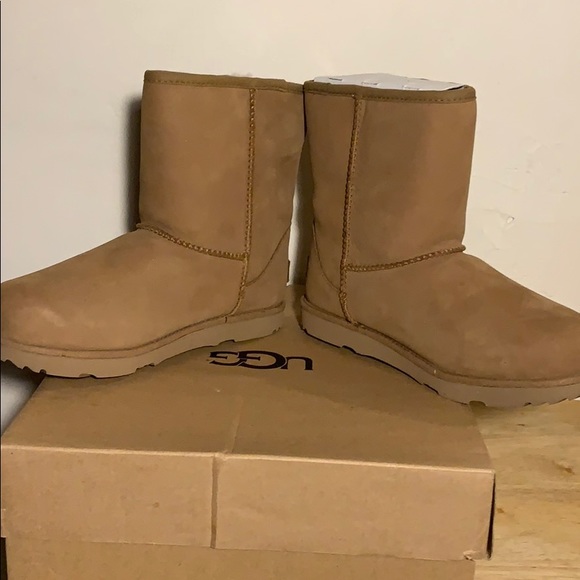 Uggs - Picture 5 of 8